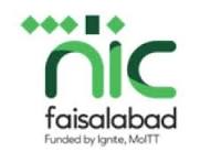 NIC Faisalabad Logo